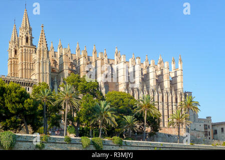 Die Kathedrale Santa Maria von Palma, Mallorca, Spanien Stockfoto