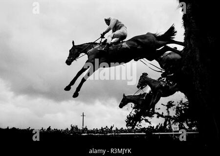 Grand National Rece Sitzung Aintree Liverpool England Großbritannien 1986 Pferde springen über Becher's Brook Zaun, wo viele Pferde fiel. Stockfoto