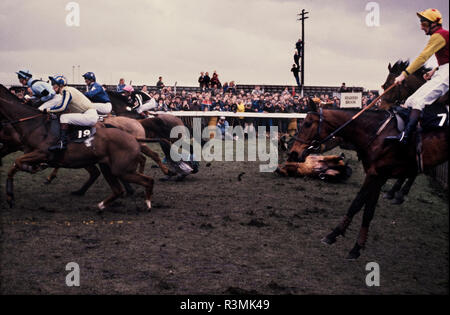 Grand National Rece Sitzung Aintree Liverpool England Großbritannien 1986 Pferde springen über Becher's Brook Zaun, wo viele Pferde fiel. Stockfoto