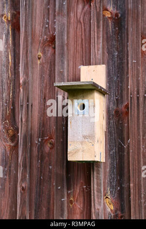 Animal Care: Holz Vogelhaus hängend an der Wand der Scheune auf Landschaft Stockfoto