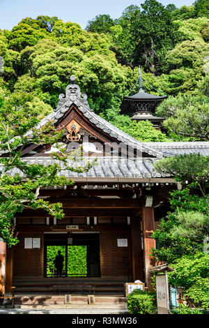 Kyoto, Japan. Zenrin Tempel Eikando Stockfoto