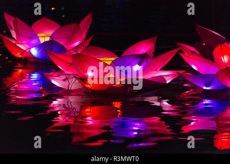 Nachtansicht des beleuchteten Lotus Blume Laternen am Laternenfest, Taichung, Taiwan Stockfoto