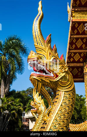 Chiang Mai, Thailand. Wat Pra Singh, Naga (Schlange) schützt die Vorder- und Rückseite der Eingänge Stockfoto