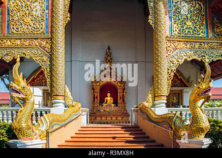 Chiang Mai, Thailand. Wat Pra Singh, Naga (Schlange) schützt die Vorder- und Rückseite der Eingänge Stockfoto