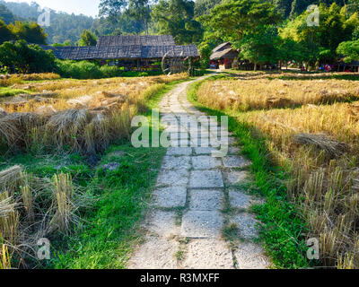 Thailand, Chiang Mai, Straße, die zu den Hang Minderheit Dorf Stockfoto