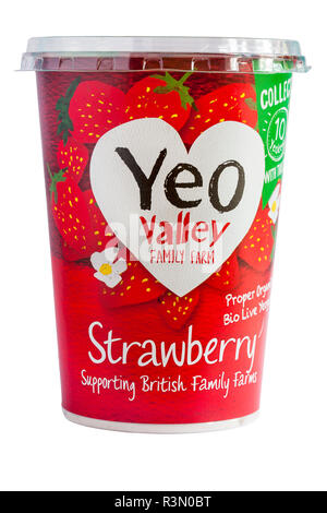 Wanne von Yeo Valley Family Farm Erdbeere richtige Bio Bio Live Yeogurt Joghurt - Unterstützung der britischen Familienbetriebe isoliert auf weißem Hintergrund Stockfoto