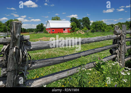 Kanada, Ontario, Limoges. Rote Scheune und Zaun auf der Farm. Stockfoto