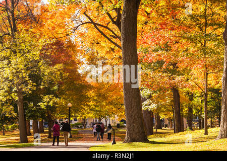 Kanada, Ontario, Ottawa, Rideau Hall Park, Herbst Stockfoto