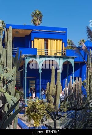 Cactus Collection at Jardin Majorelle Garten, Marrakesch (Marrakesch), Marokko Stockfoto