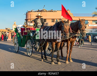 Pferdewagen (caleche) in Marrakesch, Marokko (Marrakesch) Stockfoto