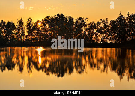 Kanada, Québec, L'Isle-aux-Coudres. Bäume spiegeln sich in Teich bei Sonnenaufgang. Stockfoto