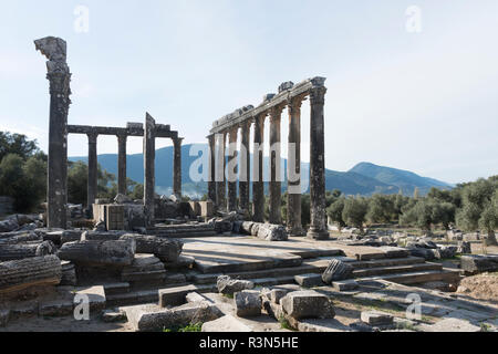 Euromos Ruinen, liegt direkt an der Straße. Soke-Milas Mugla Türkei Stockfoto