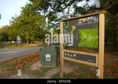 Große Karte des Epping Forest in Essex. Stockfoto