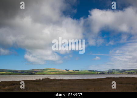 Neuseeland, Südinsel, Southland, die Catlins, Curio Bay Marine Stockfoto