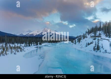 Winter entlang dem North Saskatchewan River im Banff National Park, Alberta, Kanada Stockfoto