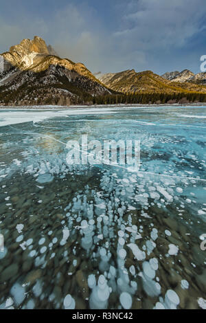 Mount Abraham bei Sonnenaufgang mit Methan eis Luftblasen unter Clear Ice am Abraham Lake in der Nähe von Nordegg, Alberta, Kanada Stockfoto