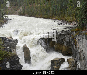 Sunwapta Falls, Jasper National Park, Alberta, Kanada, kanadische Rockies, Rocky Mountains. Banff National Park, Athabasca Glacier, Stockfoto