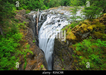 Kanada, British Columbia, Engländer River Falls Provincial Park. Engländer River Falls Landschaft. Stockfoto