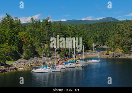 Kanada, British Columbia, Smuggler Cove Marine Provincial Park. Boote im Hafen. Stockfoto