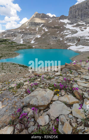 Kanada, British Columbia, East Kootenay Mountains. Jewel Seen und Berge. Stockfoto