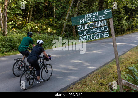 Rennradfahren auf Galliano Island, British Columbia, Kanada, (MR) Stockfoto