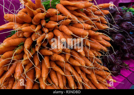 Karotten und Rüben am Markt am Samstag im Ganges, British Columbia, Kanada Stockfoto