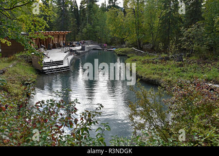 Liard River Hot Springs Provincial Park, British Columbia, Kanada Stockfoto