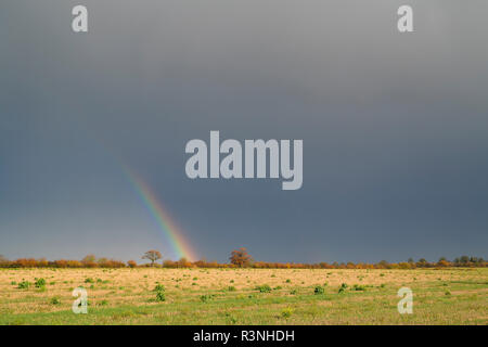 Herbst Regenbogen und dunklen Himmel über Northamptonshire Landschaft. Großbritannien Stockfoto