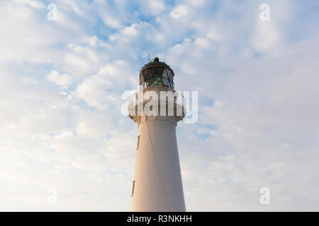 Neuseeland, Nordinsel, castlepoint. Castlepoint Leuchtturm Stockfoto