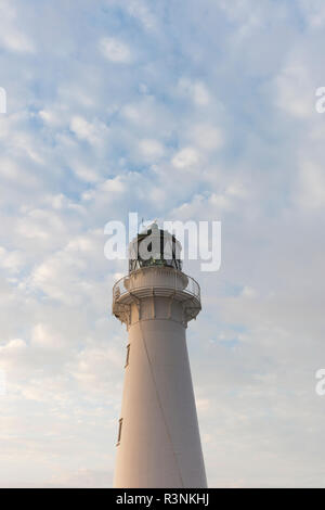 Neuseeland, Nordinsel, castlepoint. Castlepoint Leuchtturm Stockfoto