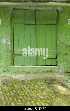 Grüne Fensterläden aus Holz und Bürgersteig Moss. Straße alte im Haus. Stockfoto