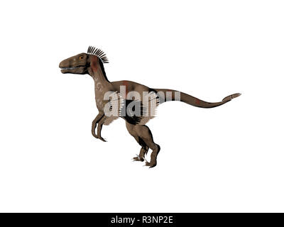 Dinosaurier mit Federkleid Stockfoto