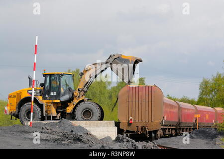 Eine Raupe mit Rädern laden Schaufel auf der Recycoal, Kohle Recycling Website in Rossington, Doncaster, die für das Beladen von Lastwagen- und Güterzüge eingesetzt werden. Stockfoto