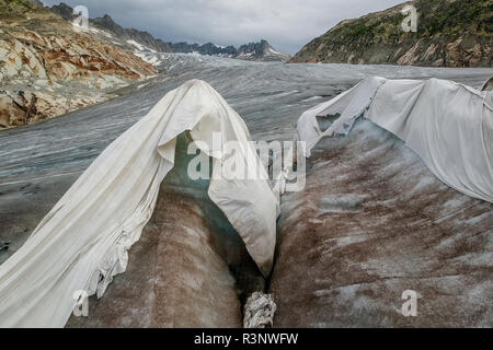 Klima Rhone: Riesige Fleecedecken bedecken Teile des Rhonegletschers in der Schweiz, um das unvermeidliche Schmelzen von Schnee und Eis zu vereizen. Nach einem Winter mit Rekordschneemengen war der größte Teil davon verschwunden, als dieses Bild am 14. Juli 2018 aufgenommen wurde, das das dunklere Eis freilegt. Während Schnee ein brillanter Reflektor der Sonnenenergie ist, absorbiert das dunklere Eis stattdessen die Energie und beschleunigt so das Schmelzen des Gletschers. Die Farbe und Dunkelheit des Gletschereises variiert weltweit, je nach Verschmutzungsbildung, Alter des Eises, vom Eis und vom Mikro aufgepflückten Partikeln Stockfoto