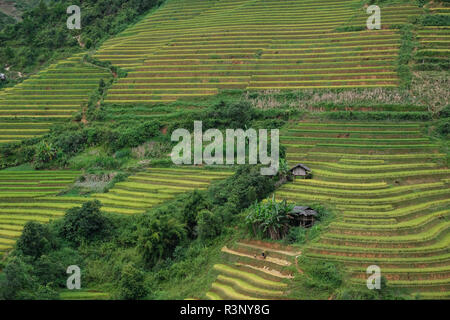 Vietnam Landschaften mit Terrassen Reisfeld. Reisfelder auf Terrassierten von Mu Cang Chai, YenBai. Hochwertige Royalty Free Stock Bild der Terrasse Reis Stockfoto