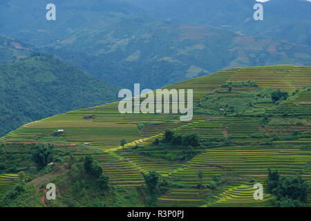 Vietnam Landschaften mit Terrassen Reisfeld. Reisfelder auf Terrassierten von Mu Cang Chai, YenBai. Hochwertige Royalty Free Stock Bild der Terrasse Reis Stockfoto