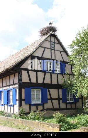 Historisches Fachwerkhaus mit dem Storchennest auf dem Dach. Elsass, Frankreich. Stockfoto