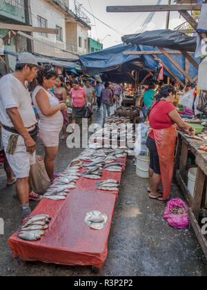 Iquitos, Peru - 16. Mai 2016: Verschiedene Arten von lokalen Fleisch auf dem Markt verkauft. Belen Markt. Belén Mercado. Stockfoto