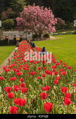 Frühling Blumen, Butchart Gardens, Saanich Peninsula, Victoria, British Columbia, Kanada Stockfoto