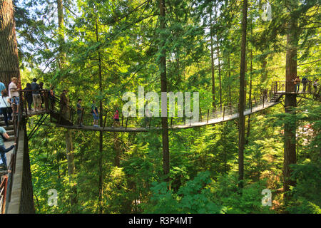 Capilano Suspension Bridge Park und in der Nähe von Vancouver, British Columbia, Kanada Stockfoto