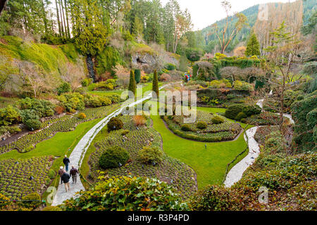 Weihnachten Beleuchtung, Butchart Gardens, Victoria, British Columbia, Kanada Stockfoto