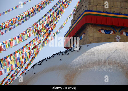 Die buddhistische Stupa in Boudhanath in Kathmandu Stockfoto