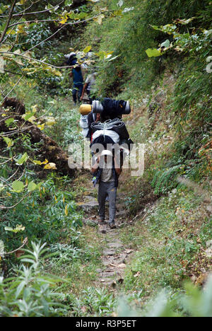 Torhüter Tragen schwerer Lasten auf einem guten Weg in Nepal Stockfoto