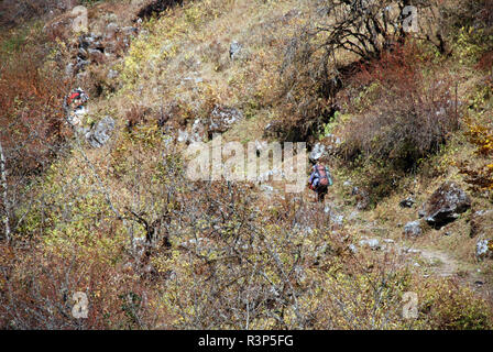 Torhüter Tragen schwerer Lasten auf einem guten Weg in Nepal Stockfoto