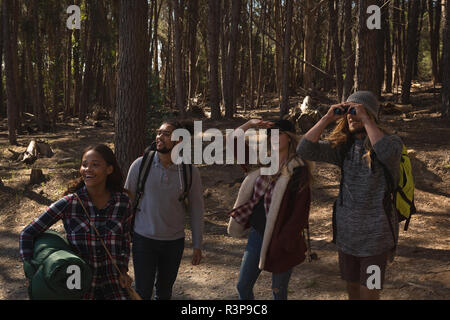 Gruppe von Freunden camping im Wald Stockfoto