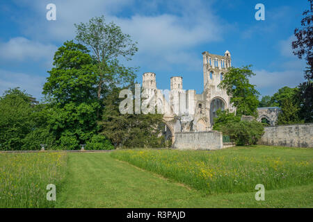 Jumièges Abbey, Jumièges, Normandie, Frankreich Stockfoto