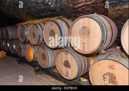Château de Pommard, Weinkeller, Cote d'Or, Burgund, Frankreich Stockfoto