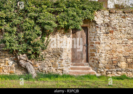 Deutschland, Rheinland-Pfalz, Freinsheim, Tor in der Stadtmauer Stockfoto