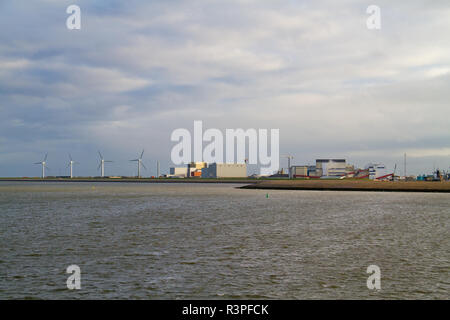 Industrielle Küste in der Nähe von Harlingen in den Niederlanden: Windmühlen und Pflanzen Stockfoto