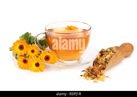 Calendula Tee mit frischen und getrockneten Blumen auf weißem Hintergrund Stockfoto